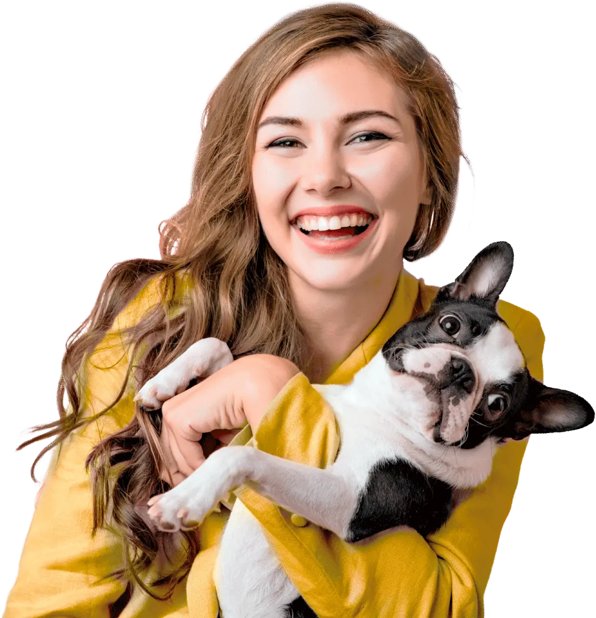 Clínica Veterinária Vida Animal