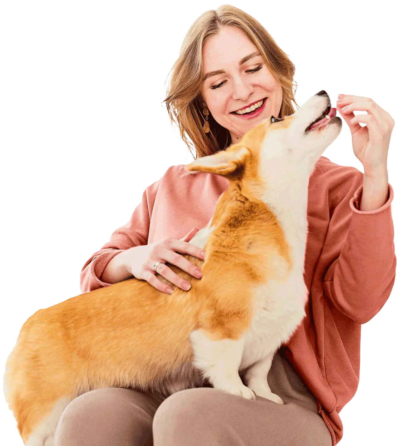 Clínica Veterinária Vida Animal